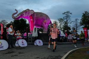 BIB: 
                            <button type="button" onclick="openModal(26529577)" class="btn btn-primary btn-sm float-right btn-popup" data-toggle="modal" data-target=".modal-high-quality">
                        <i class="fas fa-shopping-cart"></i> Add to Cart
                    </button>
                                            <button type="button" onclick="isThisMe(26529577, true)" class="btn btn-success btn-sm float-right btn-popup btn-isme hidden" data-toggle="tooltip" data-placement="bottom" title="นี่คือรูปของคุณใช่ไหม คลิกที่นี่เพื่อเอาเข้าอัลบั้ม">
                        <i class="fas fa-plus"></i> Add to album
                    </button>
                    <button type="button" onclick="isThisMe(26529577, false)" class="btn btn-warning btn-sm float-right btn-popup btn-isnotme hidden">
                        <i class="fas fa-ban"></i> Remove from album
                    </button>